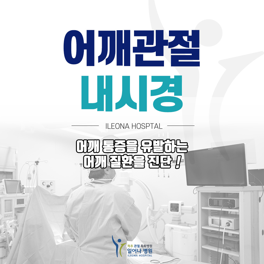 이미지명